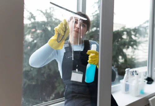 Nettoyage de vitres intérieures et extérieures à Solérieux